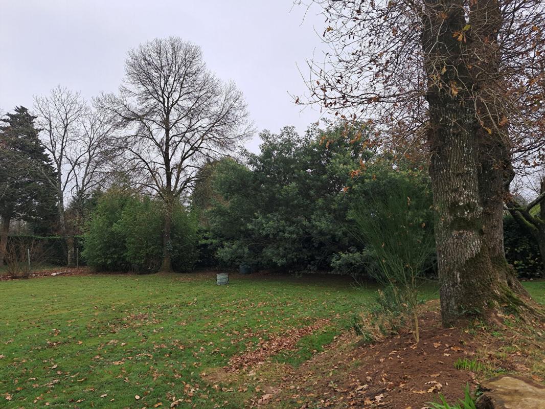 LA CHAPELLE-CARO Terrain arboré et constructible 3