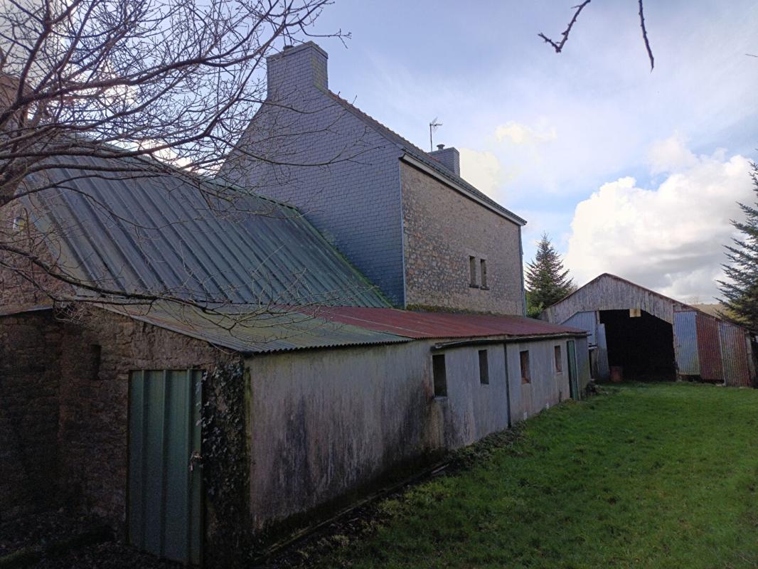 GUISCRIFF Maison Guiscriff 3 pièce(s) 100 m2 14