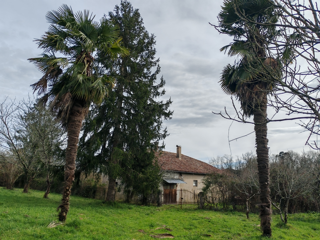 DAX Maison 15 MINUTES DE DAX 7