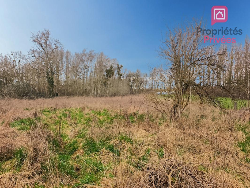 LONGUEVILLE-SUR-AUBE Maison Longueville Sur Aube 8 pièce(s) 229 m2 18