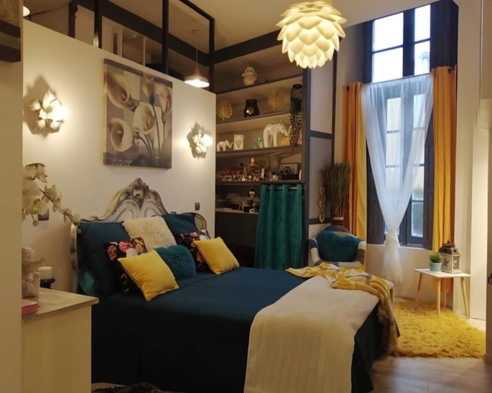 CARCASSONNE Carcassonne , spectaculaire  appartement de  388 m2 11