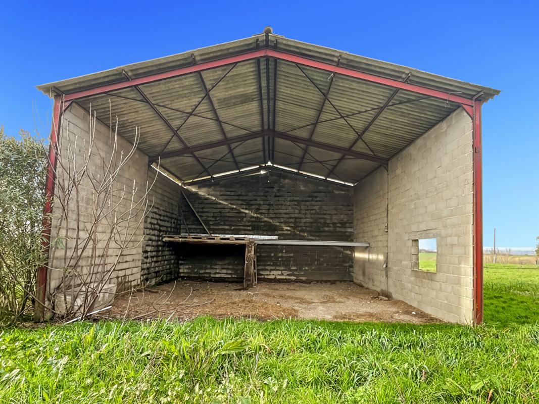 MONTJOIRE EXCLUSIF À MONTJOIR : Propriété de Caractère de 260 m² ? DPE A 17