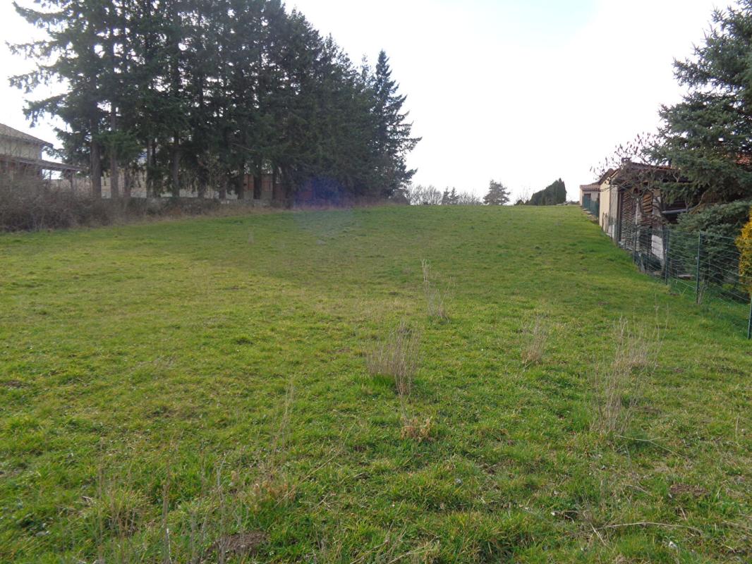 SANSSAC-L'EGLISE Sanssac L'Eglise(43), terrain constructible de 3.488 m2 5