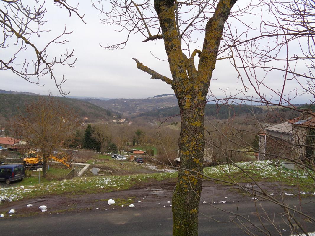 SANSSAC-L'EGLISE Sanssac L'Eglise(43), terrain constructible de 3.488 m2 6