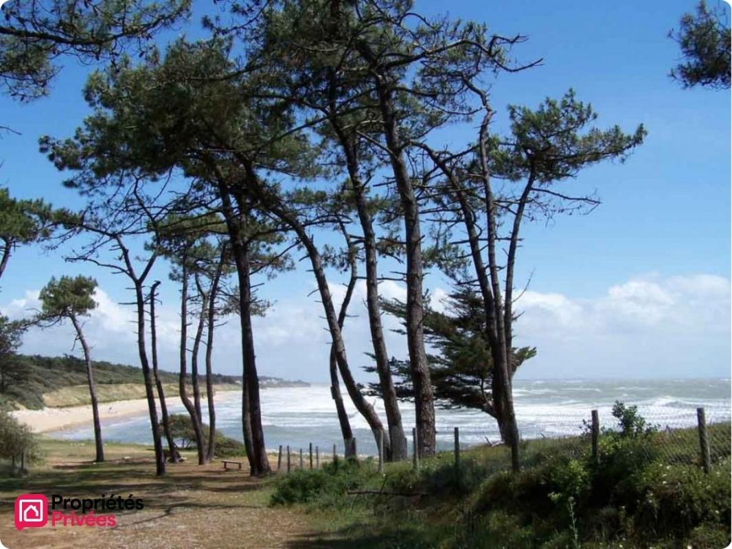 JARD-SUR-MER Appartement Jard Sur Mer T2 RDC 50.24 m2 6