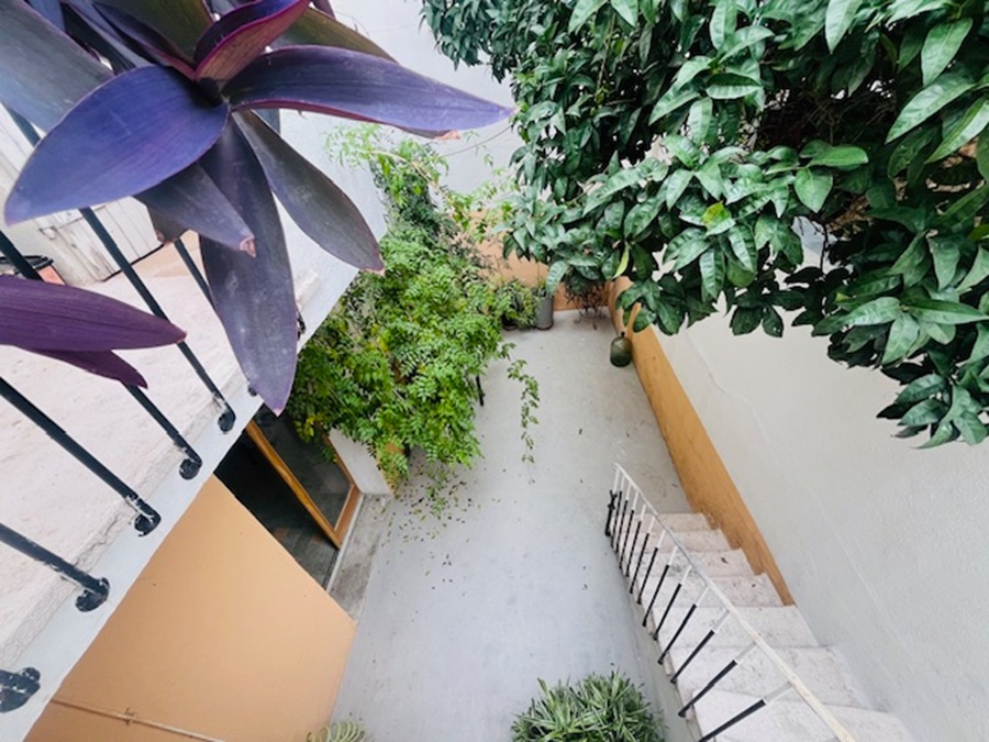 PERPIGNAN Charmante maison de ville de style Artiste en R+1 avec terrasse et atelier en rdc à modifier 4