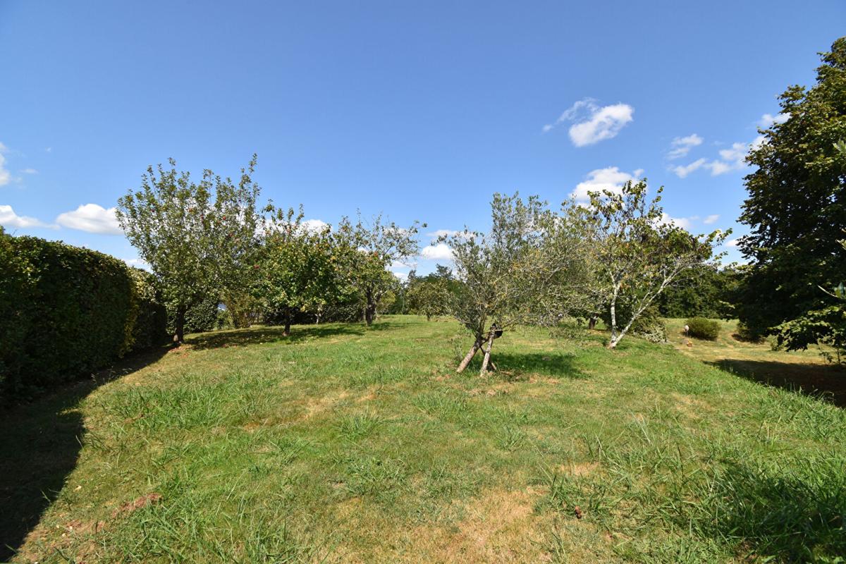 PONTONX-SUR-L'ADOUR Maison 5 minutes de PONTONX 159 M2 SUR TERRAIN DE 6000 M2 15