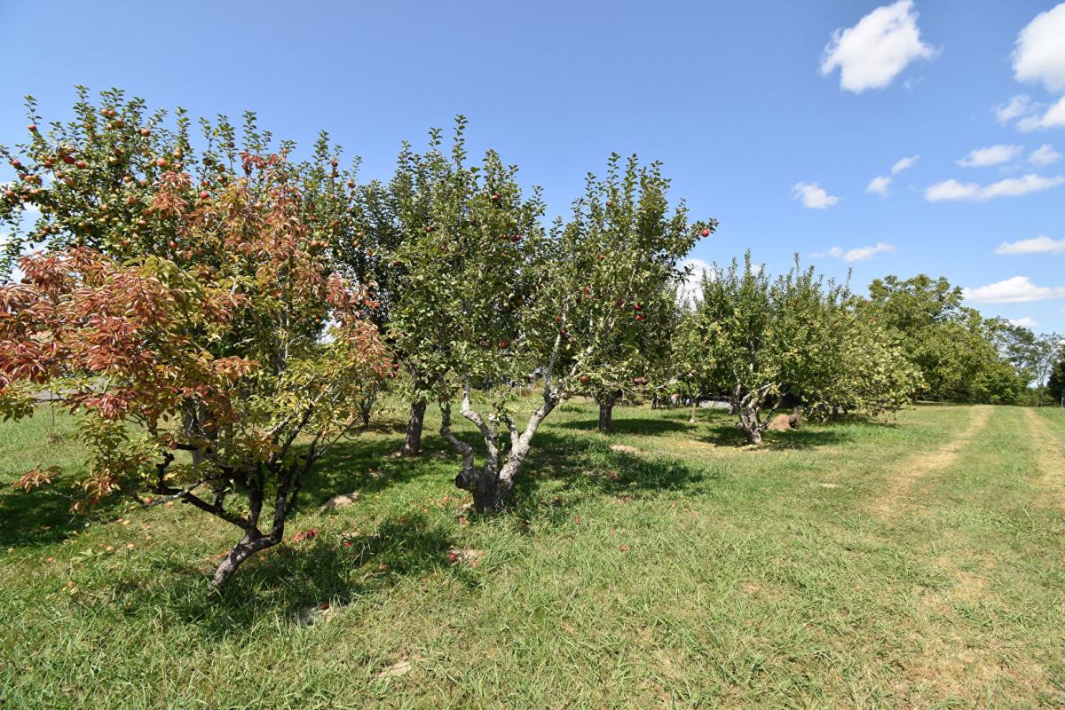 PONTONX-SUR-L'ADOUR Maison 5 minutes de PONTONX 159 M2 SUR TERRAIN DE 6000 M2 16