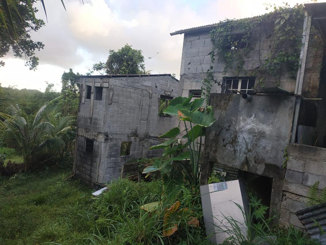 GROS-MORNE lot de  2 maisons en construction a vendre au gros-morne 2