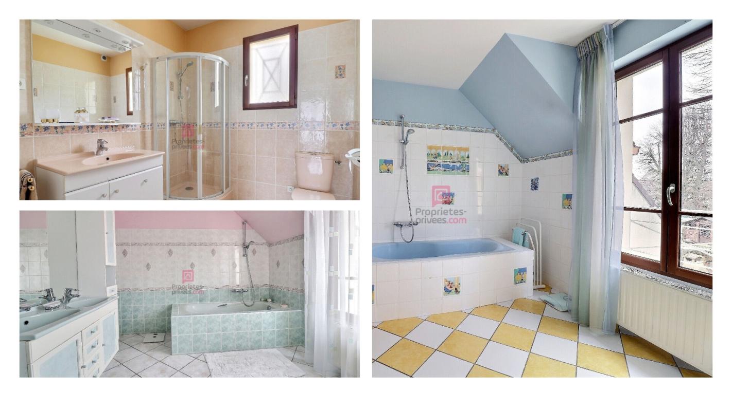 SAINTE-GENEVIEVE-DES-BOIS Maison Sainte Genevieve Des Bois 8 pièce(s) 196 m² 11