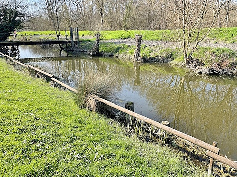 TAUGON Charentaise d'exception - Authenticité, volumes et cadre naturel préservé 16