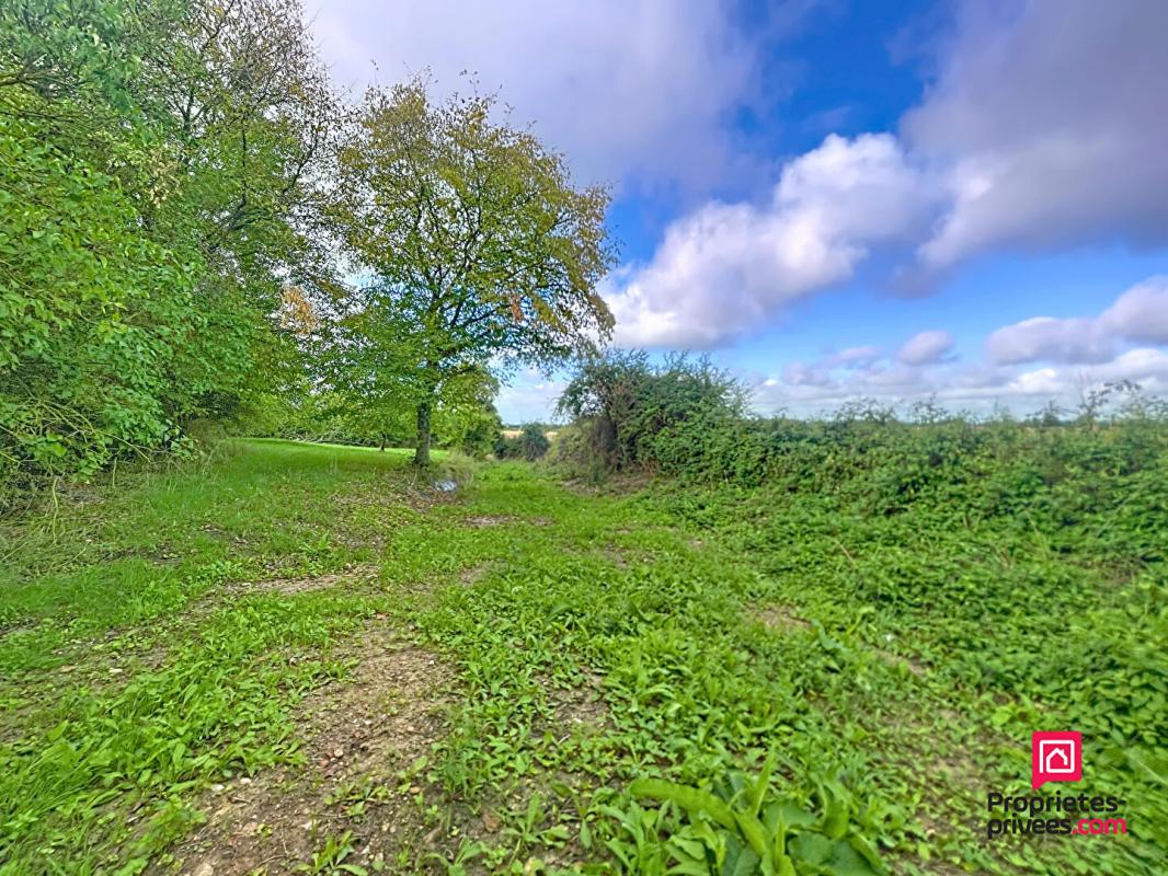 SAINT-FULGENT-DES-ORMES A 15 mn de Bellême, longère de 155 m2 et 4 chambres 12