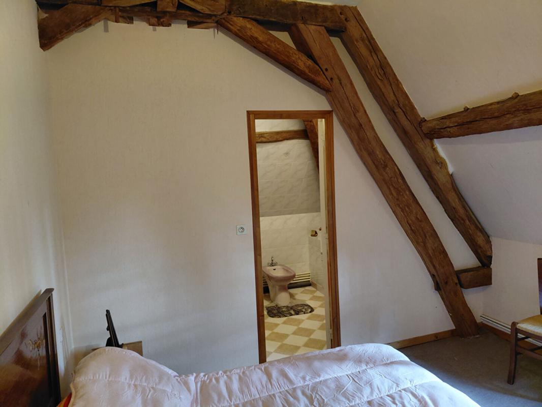 CHATILLON-SUR-INDRE moulin de la parelle Chatillon sur indre 270 m2 11