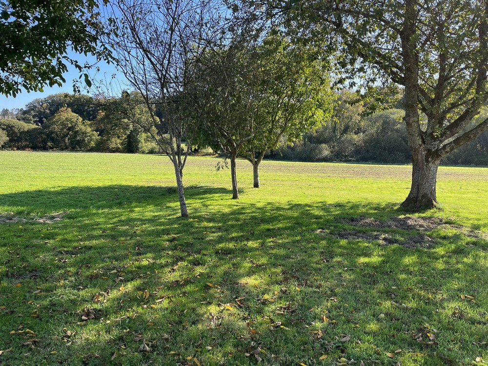 SAINT-NICOLAS-DU-PELEM Maison Saint Nicolas Du Pelem 4 pièce(s) 68 m2 2