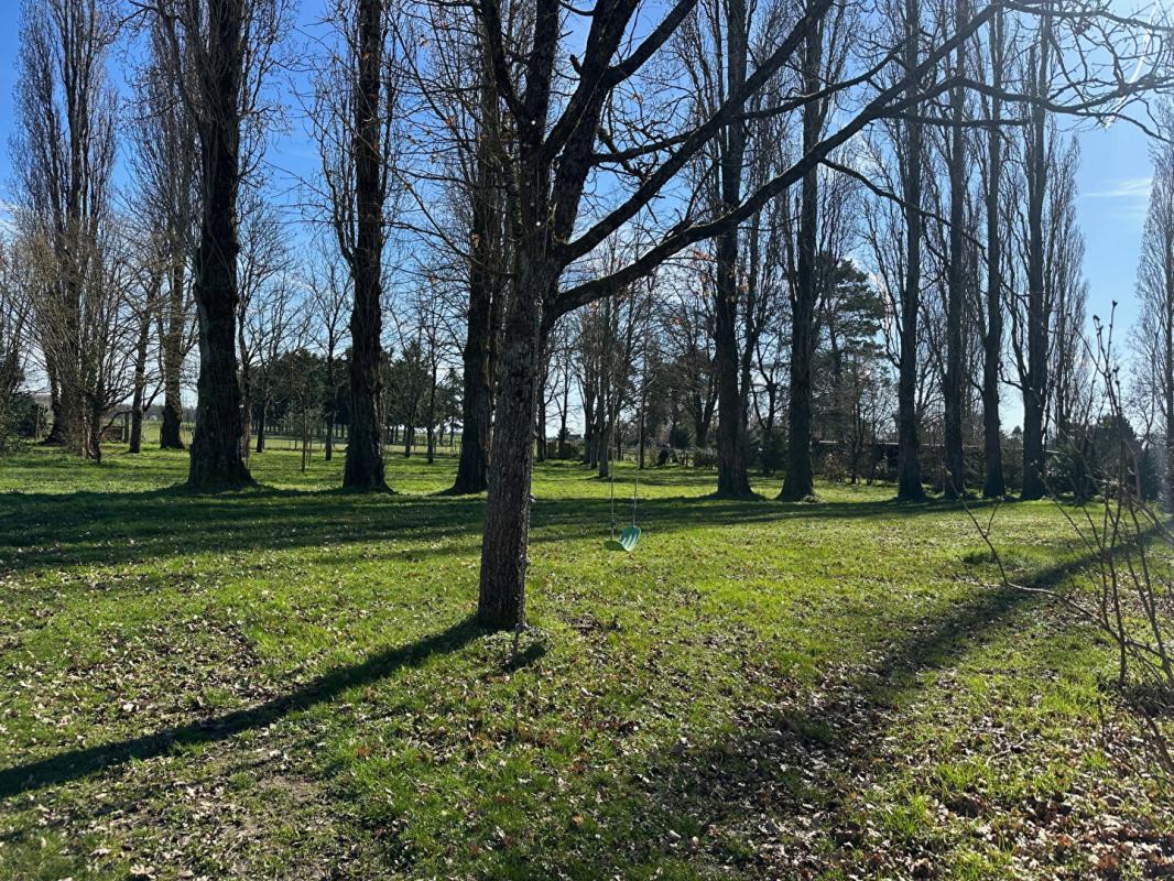 ACHERES-LA-FORET BELLE DEMEURE A ACHERES LA FORET 4