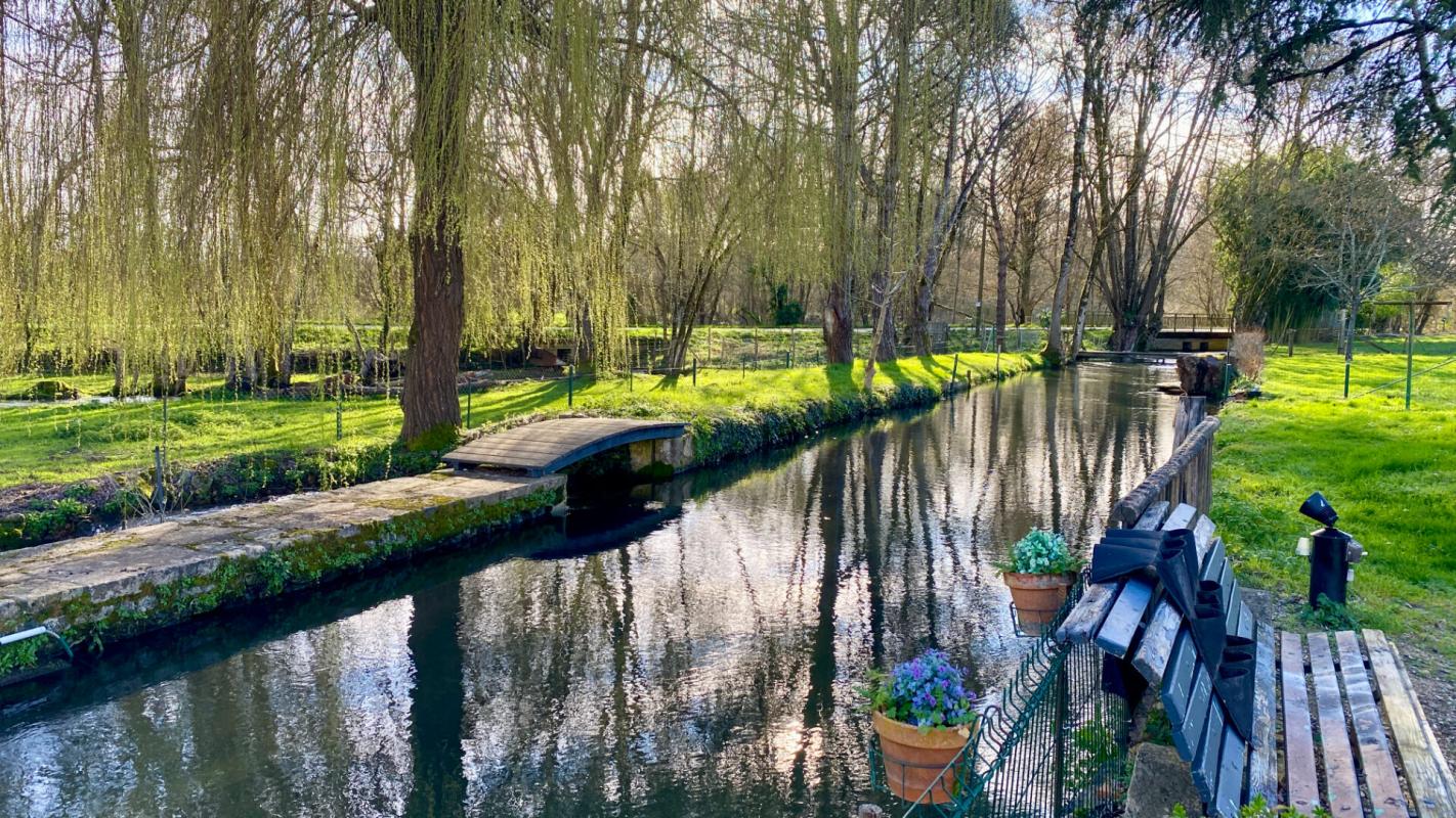 LEZAY Maison de caractère  avec rivière ,Piscine, Terrain 7 000 m² ,Lezay (79) 10