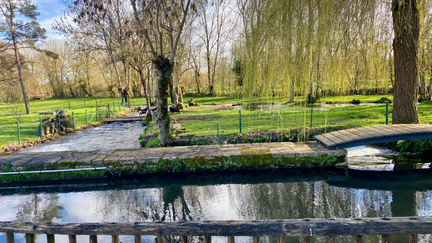 LEZAY Maison de caractère  avec rivière ,Piscine, Terrain 7 000 m² ,Lezay (79) 15