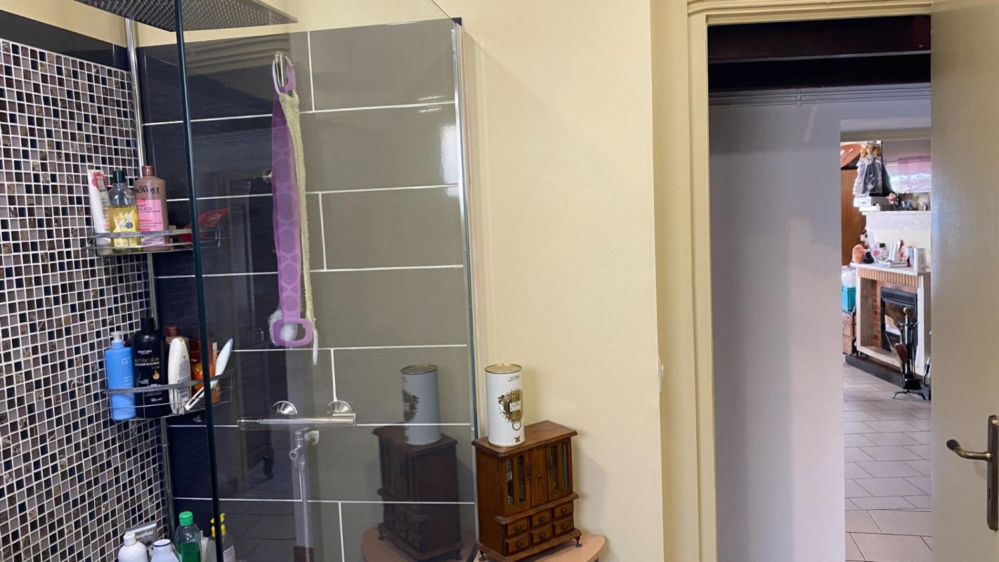 LEZAY Maison de caractère  avec rivière ,Piscine, Terrain 7 000 m² ,Lezay (79) 5