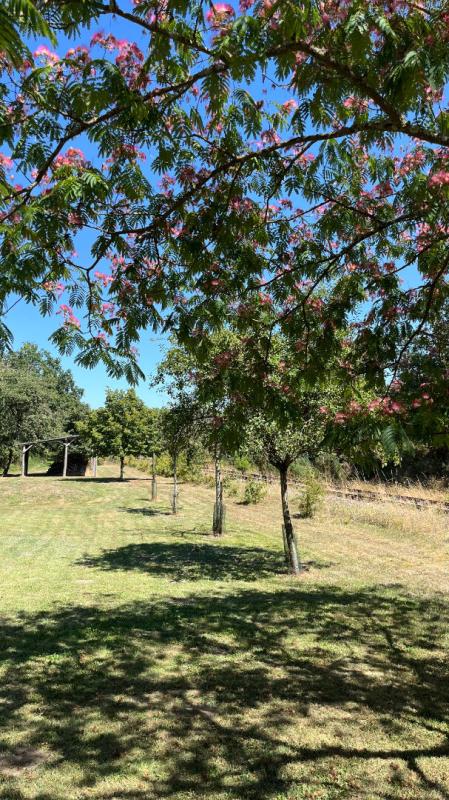 CHATEAU-DU-LOIR Maison Montval Sur Loir 5 pièce(s) 148 m2 - 3  chambres - 14