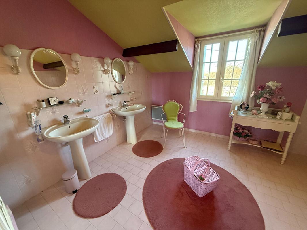 LURCY-LEVIS Immeuble Lurcy Levis 10 pièce(s) 221 m2 6