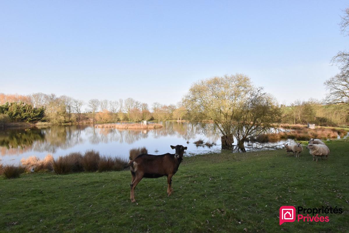 LA TESSOUALLE Terrain de loisirs La Tessoualle 41945 m2 2