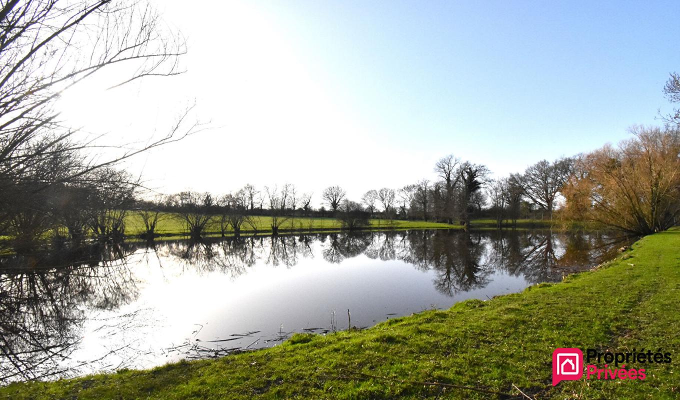 LA TESSOUALLE Terrain de loisirs La Tessoualle 41945 m2 6