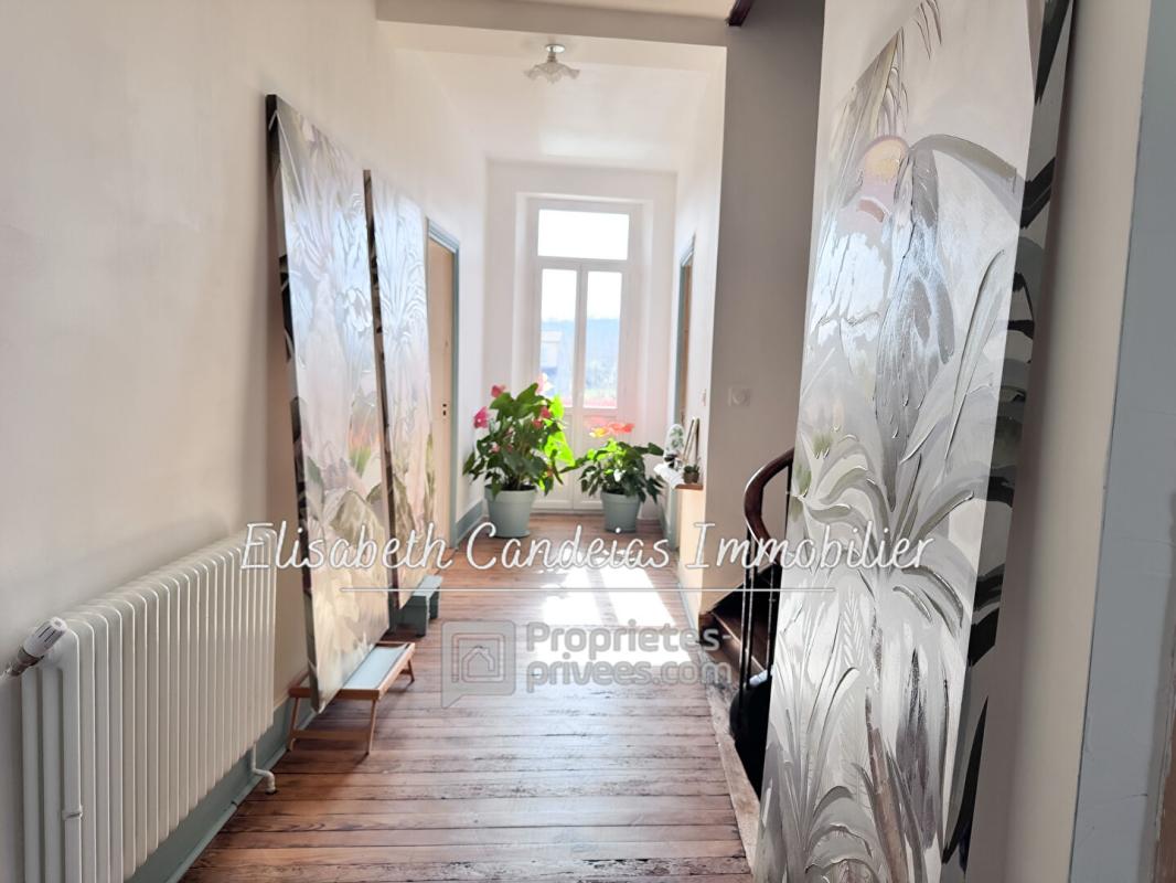 PALAMINY Maison de charme rénovée - avec piscine et vue Pyrénées 16