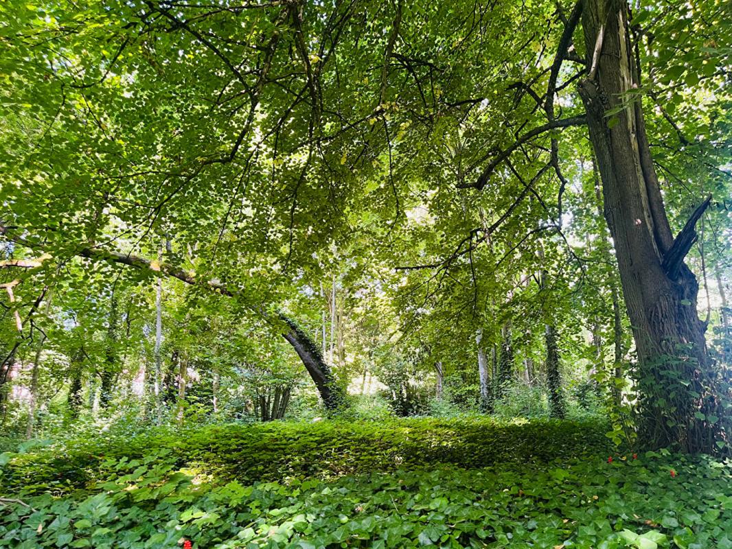 MARCILLY-SUR-SEINE Maison d'architecte 11 pièces, 359 m2 sur parc de 7609 m2 17