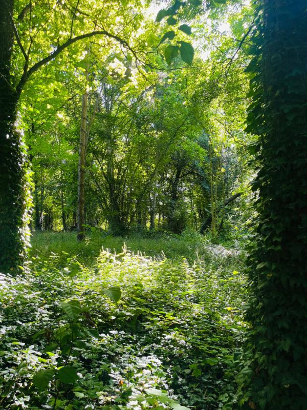 MARCILLY-SUR-SEINE Maison d'architecte 11 pièces, 359 m2 sur parc de 7609 m2 18