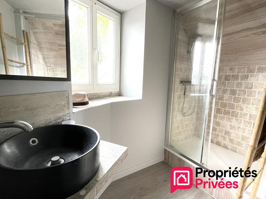 NOGENT-LE-ROI Maison Nogent Le Roi 6 pièces 4 chambres 170 m2 jardin 930m2 292000 15