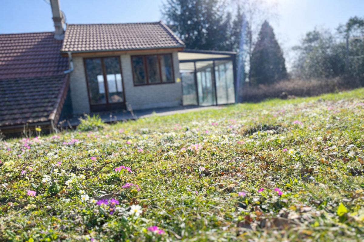 BRASSY Maison Brassy 6 pièce(s) 140 m2 16