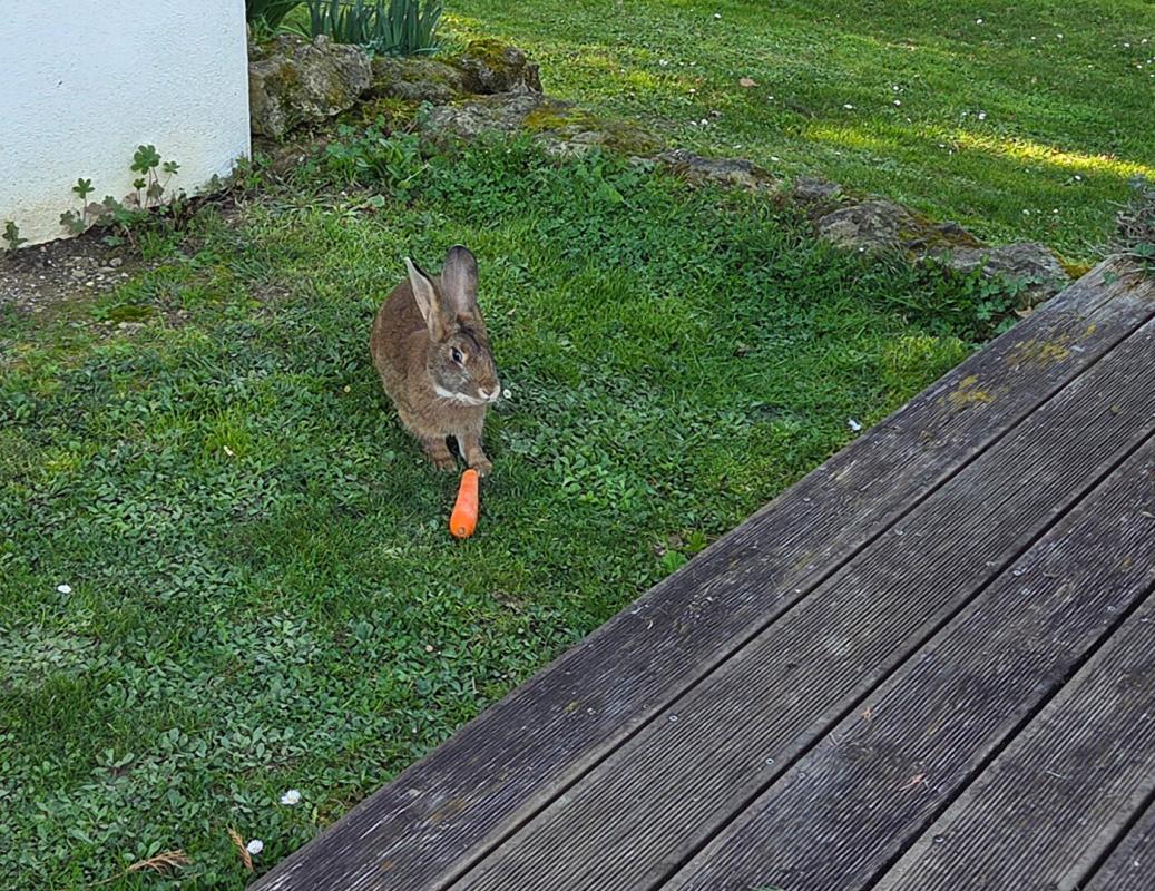 MARCIAC Maison secteur Marciac 6 pièce(s) 123 m2 14