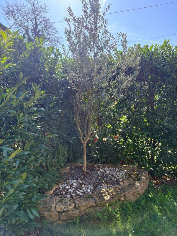 ARNAS Appartement 3 pièces en duplex avec jardin 13