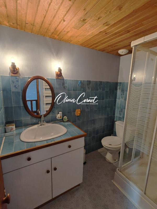 MARGON Maison Arcisses 7 pièces 188 m² 14