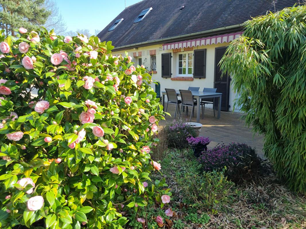 LES BORDES Maison 4 chambres, et magnifique séjour 15