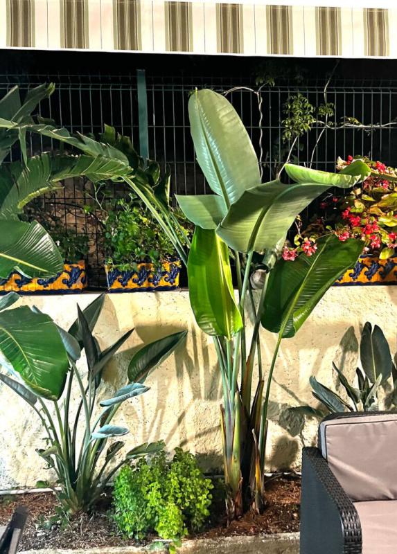 BANDOL maison 2 chambres place de parking et cave 11