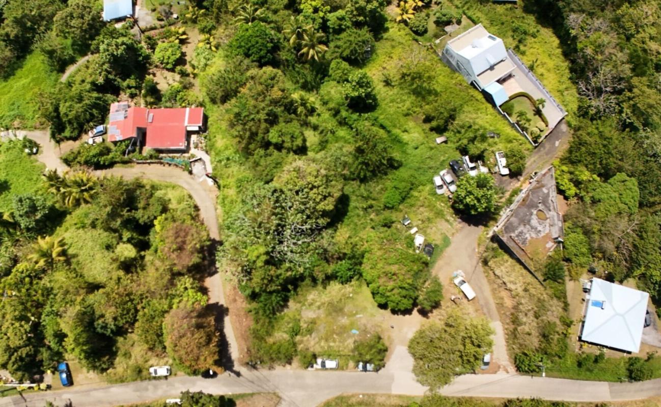 LE FRANCOIS TERRAIN CONSTRUCTIBLE  de 3 242 m² -Emprise au sol 50 % -LE FRANÇOIS 1