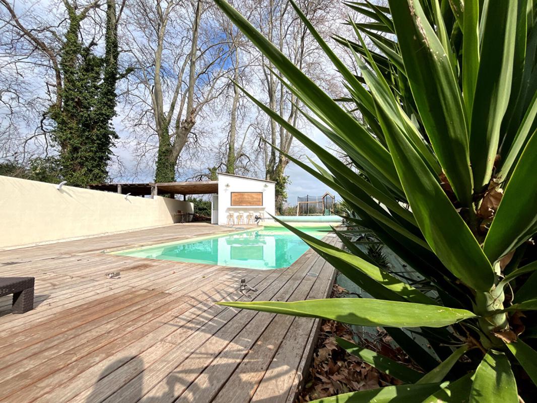 SAINT CYPRIEN PLAGE Magnifique maison en R+1 de 200 m² environs de style mas sans vis-à-vis avec grande piscine 8 sur 4 2