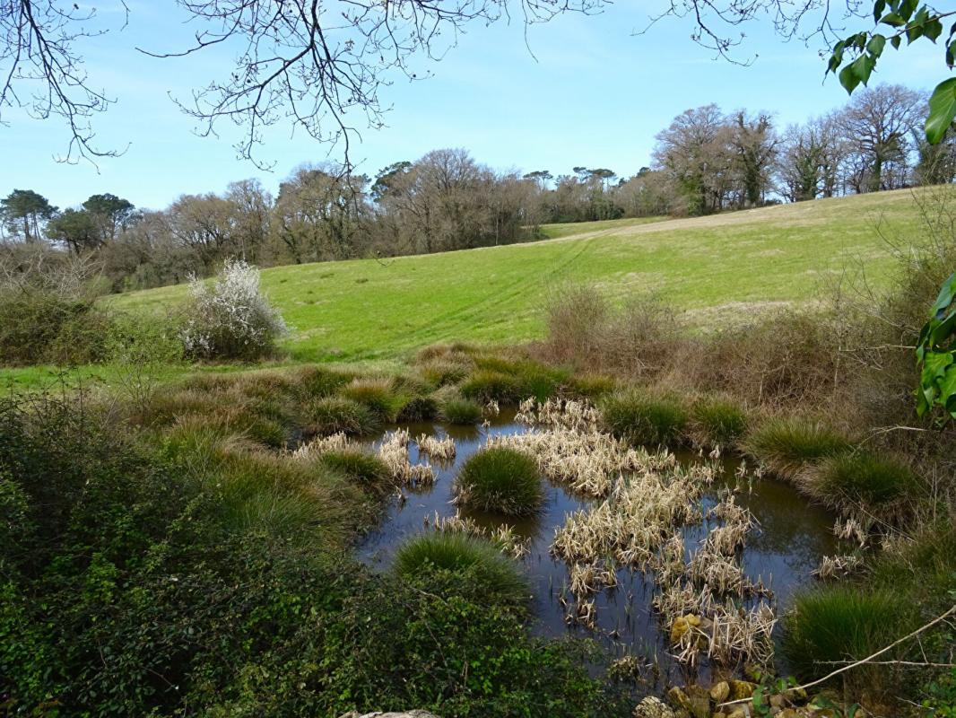 CAUPENNE Landes 40250 Caupenne, propriété 25 ha avec habitation et dépendances 12