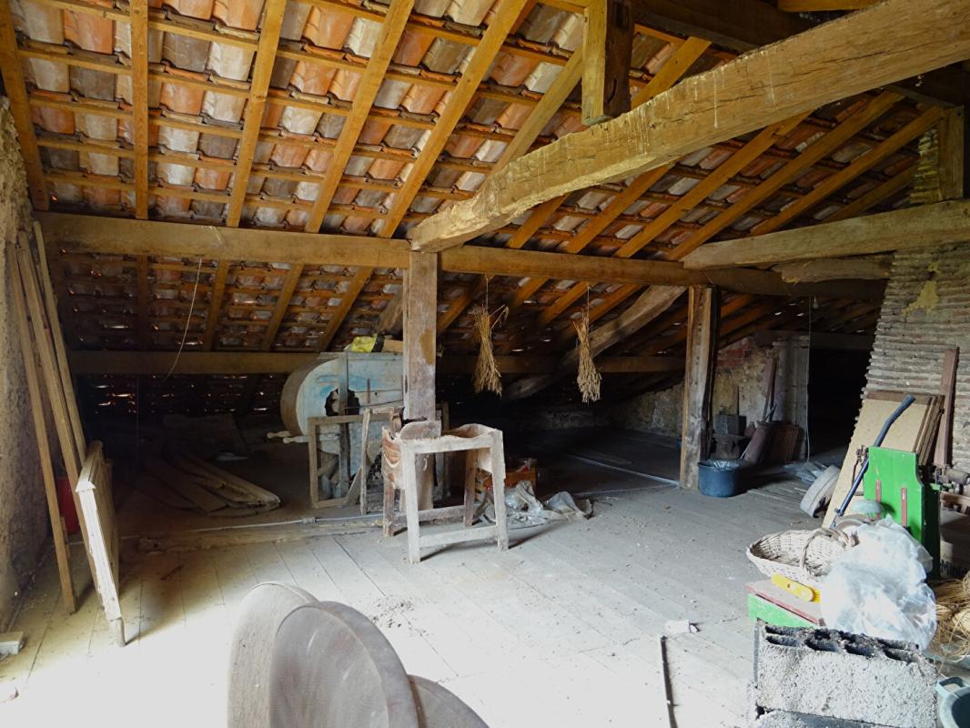 CAUPENNE Landes 40250 Caupenne, propriété 25 ha avec habitation et dépendances 9