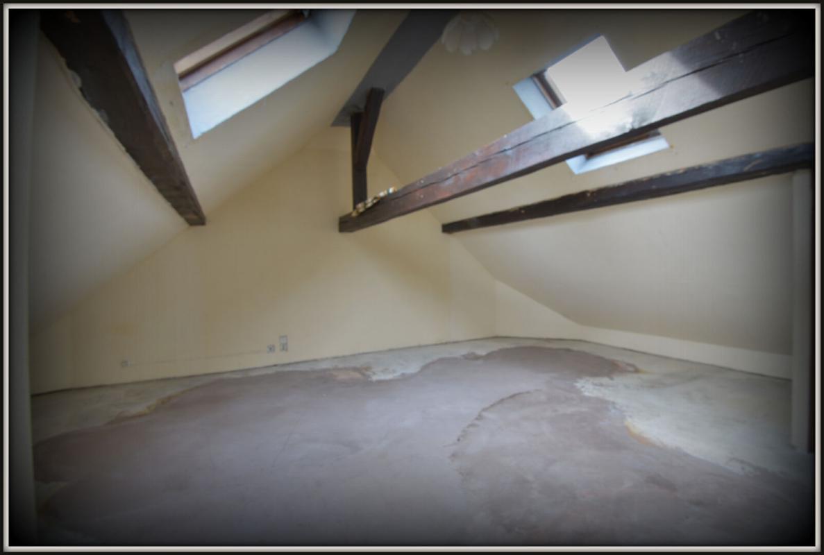 IVOY-LE-PRE Maison avec dépendance de 40m² 7