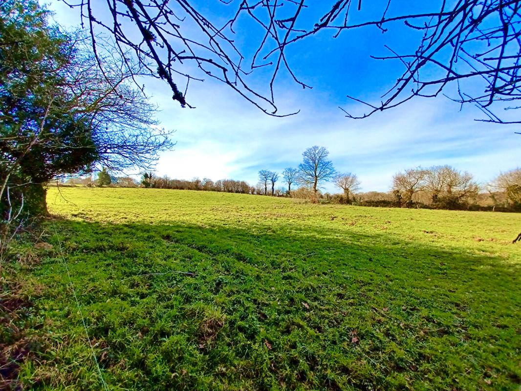 MARZAN Longère habitable en pierres, composée de 3 maisons & 1,5 hectares de terrain. Potentiel pour faire des gîtes. Plage 1/4 heure 4