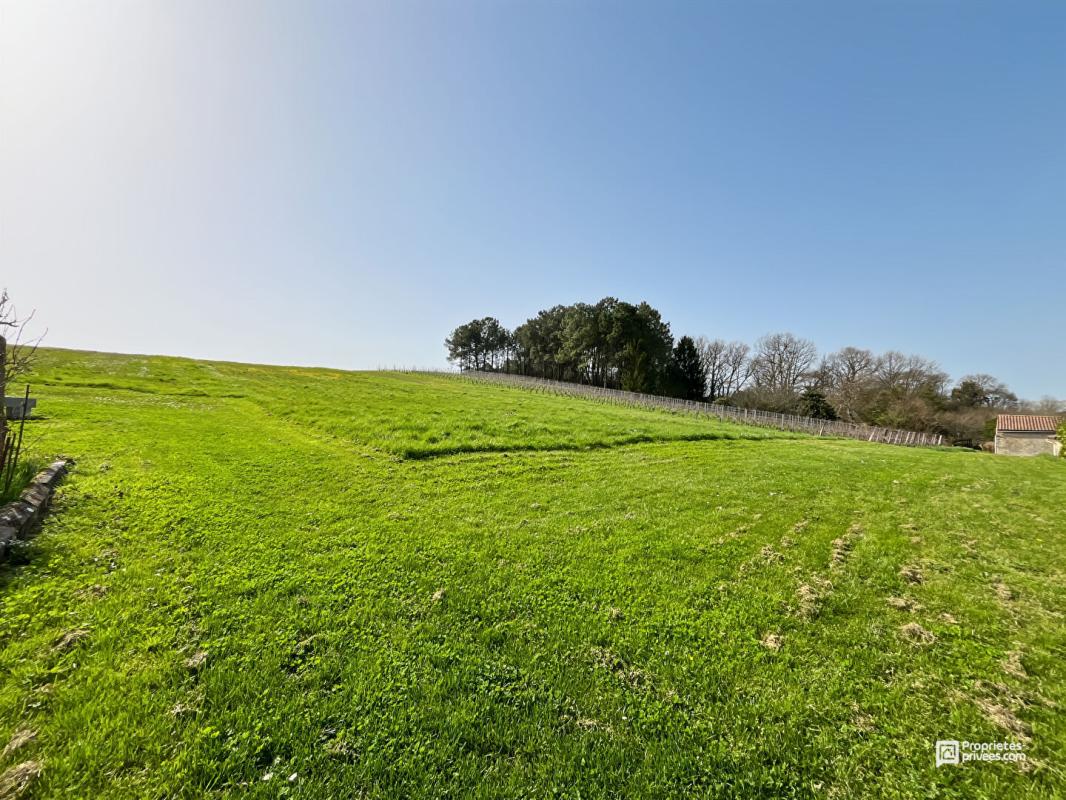 BERSON Maison avec piscine, spa et dépendances sur 6340 m² à vendre à Berson ? Proche Blaye 4