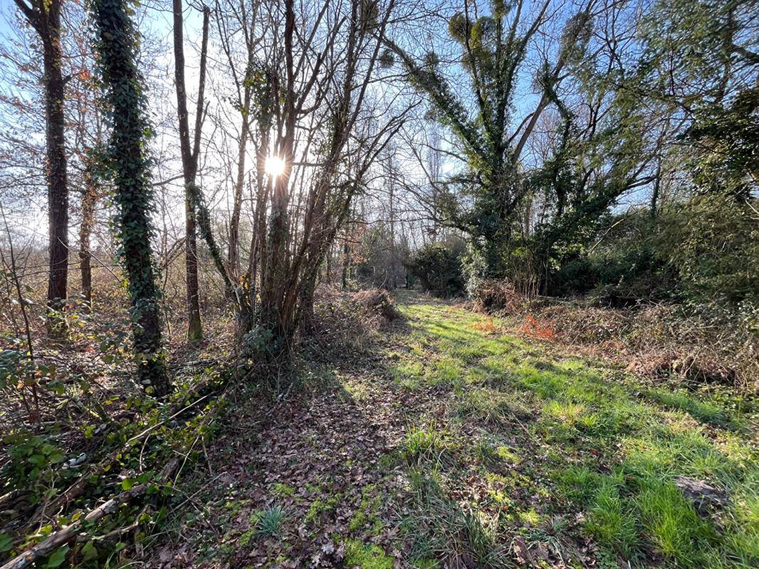 LANGON Terrain de loisirs Langon Sur Cher 2