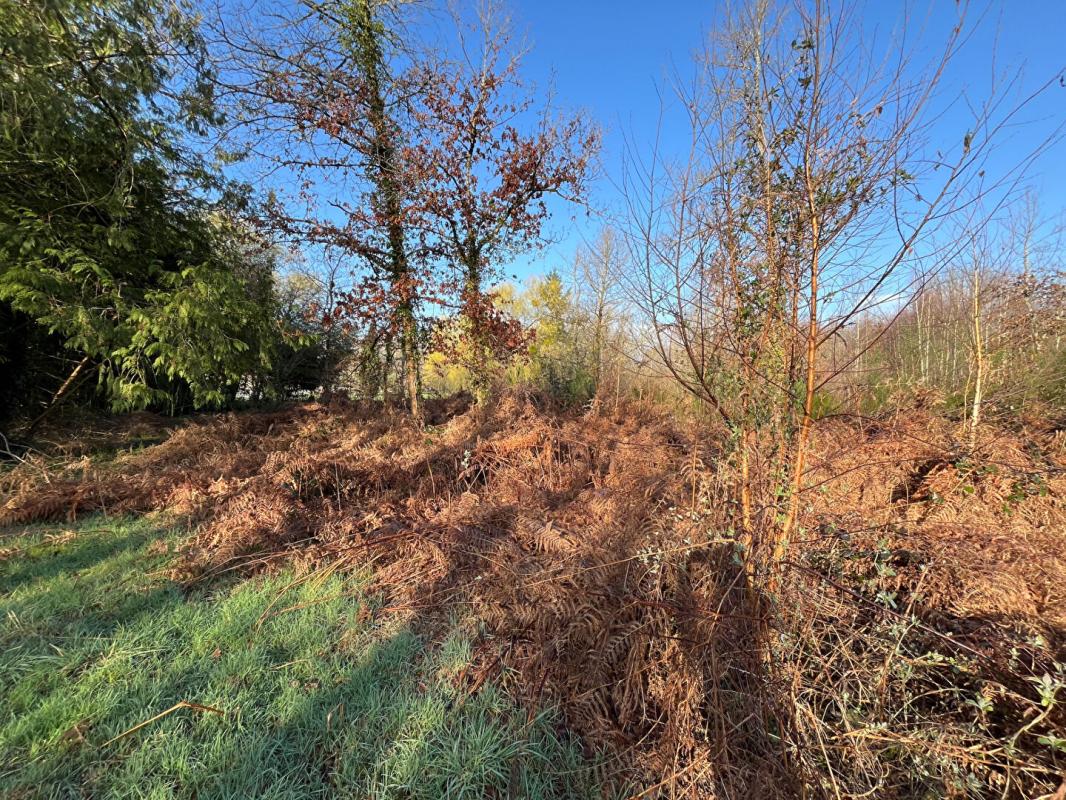 LANGON Terrain de loisirs Langon Sur Cher 6