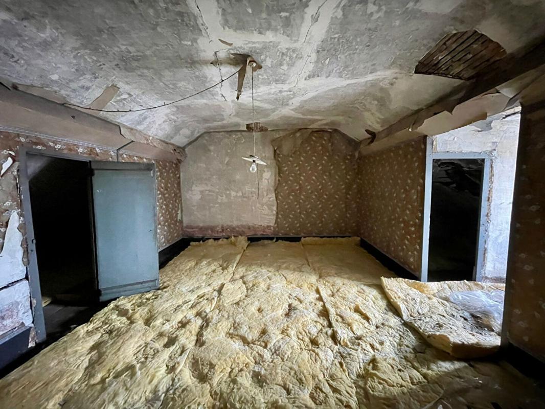 FOURCHAMBAULT Immeuble Fourchambault 200m² - 2 appartements - Jardin 13