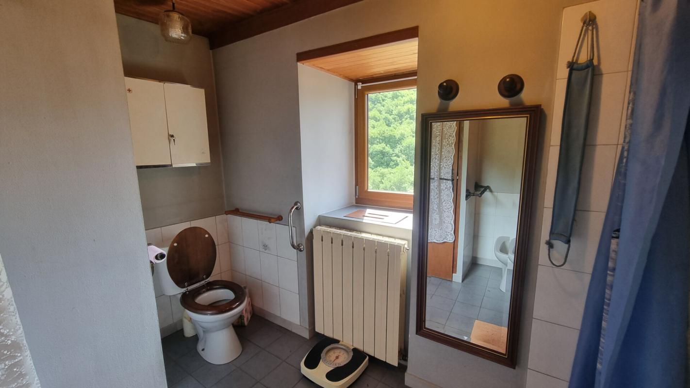 SABLIERES Maison de hameau en pierre au calme 17