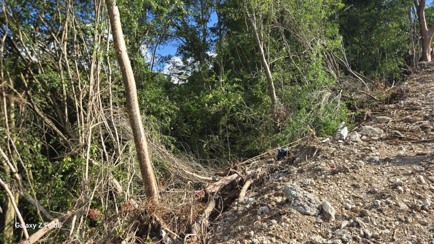 LE GOSIER terrain Gosier 97190 2