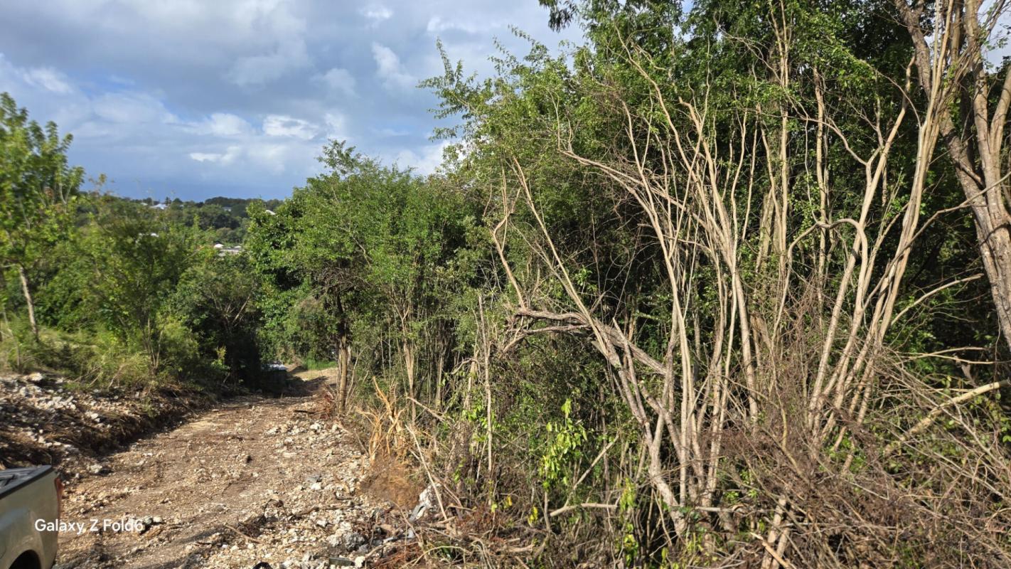 LE GOSIER terrain Gosier 97190 3