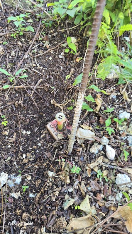 LE GOSIER terrain Gosier 97190 4